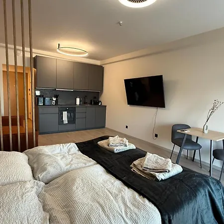 Apartment 1,5 Ac Apartment, Balcony,new Building, Downtown, Old Pressburg